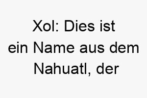 xol dies ist ein name aus dem nahuatl der spielball bedeutet es koennte fuer einen spielfreudigen hund passen 27699