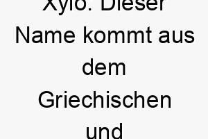 xylo dieser name kommt aus dem griechischen und bedeutet holz es koennte fuer einen hund passen der gerne mit holzspielzeug spielt 27702