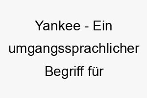 yankee ein umgangssprachlicher begriff fuer amerikaner koennte auch eine anspielung auf das beruehmte baseball team sein 27819