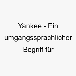 yankee ein umgangssprachlicher begriff fuer amerikaner koennte auch eine anspielung auf das beruehmte baseball team sein 27819