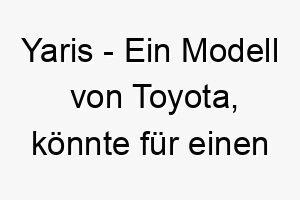 yaris ein modell von toyota koennte fuer einen kleinen schnellen hund passen 27841