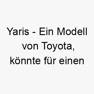 yaris ein modell von toyota koennte fuer einen kleinen schnellen hund passen 27841