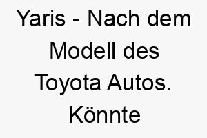 yaris nach dem modell des toyota autos koennte fuer einen kleinen schnellen hund passen 27829