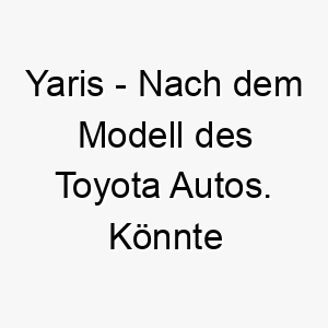 yaris nach dem modell des toyota autos koennte fuer einen kleinen schnellen hund passen 27829