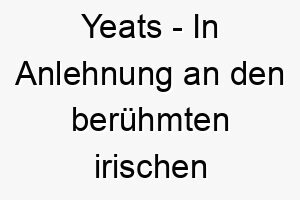 yeats in anlehnung an den beruehmten irischen dichter william butler yeats 27825