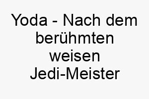 yoda nach dem beruehmten weisen jedi meister aus star wars 27799