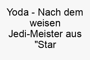 yoda nach dem weisen jedi meister aus star wars perfekt fuer einen kleinen klugen hund 27814