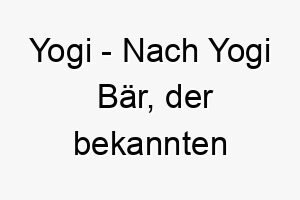 yogi nach yogi baer der bekannten zeichentrickfigur 27809