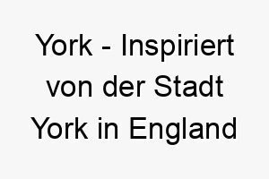 york inspiriert von der stadt york in england oder new york in den usa 27800