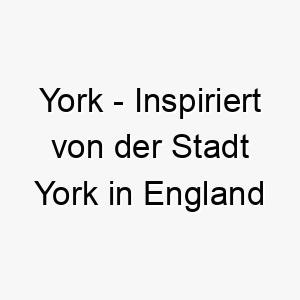 york inspiriert von der stadt york in england oder new york in den usa 27800