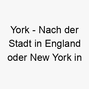 york nach der stadt in england oder new york in den usa koennte fuer einen urbanen hund passen 27822