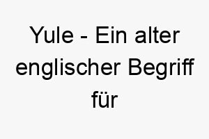 yule ein alter englischer begriff fuer weihnachten ideal fuer einen hund der waehrend der weihnachtszeit adoptiert wurde 27837