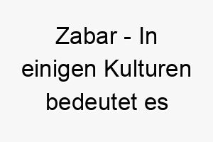 zabar in einigen kulturen bedeutet es geschenk ein schoener name fuer einen hund der als besonderes geschenk betrachtet wird 27986