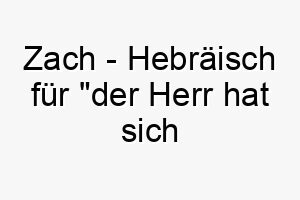 zach hebraeisch fuer der herr hat sich erinnert ein tiefsinniger und bedeutungsvoller name fuer einen geliebten hund 28065