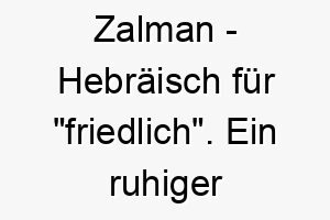 zalman hebraeisch fuer friedlich ein ruhiger und beruhigender name fuer einen friedliebenden hund 28057