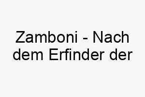 zamboni nach dem erfinder der eisreinigungsmaschine benannt ein cooler und einzigartiger name fuer einen hund der das eis oder kaelte liebt 28117