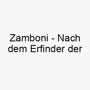 zamboni nach dem erfinder der eisreinigungsmaschine benannt ein cooler und einzigartiger name fuer einen hund der das eis oder kaelte liebt 28117