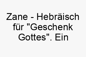 zane hebraeisch fuer geschenk gottes ein passender name fuer einen hund der ihnen besonders wertvoll ist 28051