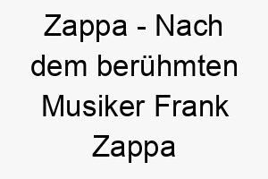 zappa nach dem beruehmten musiker frank zappa benannt ein cooler name fuer einen hund mit einer musikalischen oder exzentrischen persoenlichkeit 28001