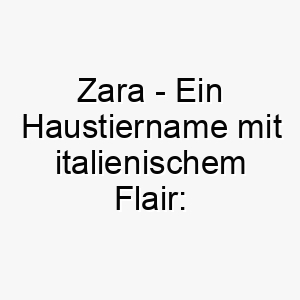 zara ein haustiername mit italienischem flair die tiefgruendige bedeutung daemmerung 11333