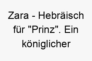 zara hebraeisch fuer prinz ein koeniglicher name fuer ihren vierbeinigen freund 28044