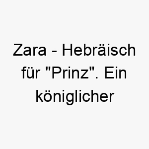 zara hebraeisch fuer prinz ein koeniglicher name fuer ihren vierbeinigen freund 28044