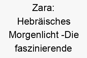 zara hebraeisches morgenlicht die faszinierende bedeutung hinter dem hundename 11318