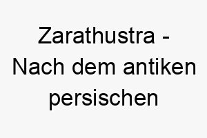 zarathustra nach dem antiken persischen propheten benannt ein bedeutungsvoller name fuer einen weisen und ruhigen hund 28031