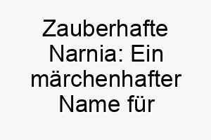 zauberhafte narnia ein maerchenhafter name fuer einen mysterioesen hund 23119