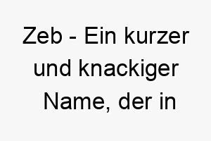 zeb ein kurzer und knackiger name der in verschiedenen kulturen verschiedene bedeutungen hat einschliesslich geschenk gottes und erde 27979