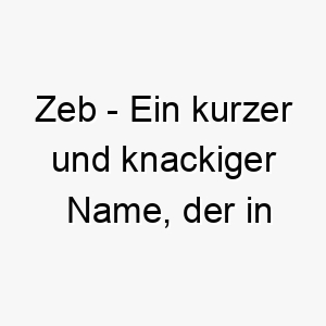 zeb ein kurzer und knackiger name der in verschiedenen kulturen verschiedene bedeutungen hat einschliesslich geschenk gottes und erde 27979