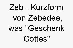 zeb kurzform von zebedee was geschenk gottes bedeutet ein schoener name fuer einen hund der ein geschenk in ihrem leben ist 28043