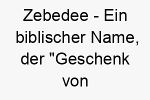 zebedee ein biblischer name der geschenk von gott bedeutet ein geeigneter name fuer einen sehr geschaetzten hund 28070