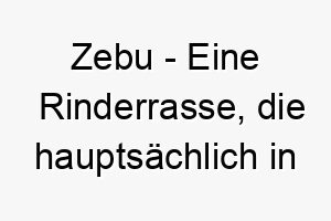 zebu eine rinderrasse die hauptsaechlich in tropischen regionen vorkommt ein grosser und starker name fuer einen grossen hund 28090