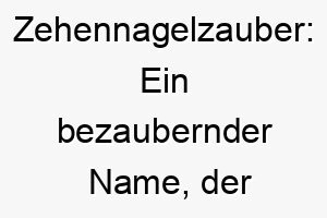 zehennagelzauber ein bezaubernder name der kleine hunde in suesse engel verwandelt 26482