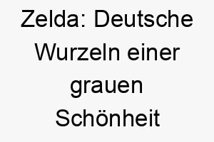 zelda deutsche wurzeln einer grauen schoenheit 11304