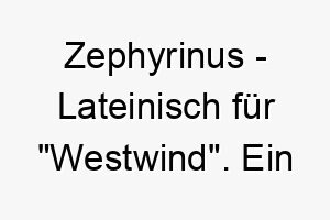 zephyrinus lateinisch fuer westwind ein auffaelliger und seltener name fuer einen besonderen hund 28076