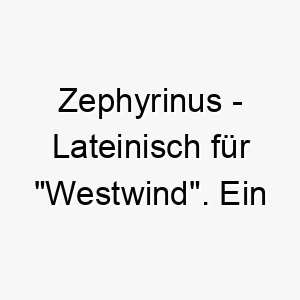 zephyrinus lateinisch fuer westwind ein auffaelliger und seltener name fuer einen besonderen hund 28076