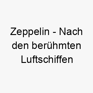 zeppelin nach den beruehmten luftschiffen benannt ein guter name fuer einen grossen oder majestaetischen hund 28005