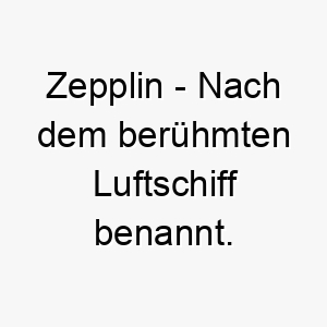 zepplin nach dem beruehmten luftschiff benannt ein cooler name fuer einen hund der gerne herumtollt und spielt 27987