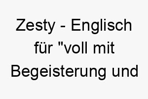 zesty englisch fuer voll mit begeisterung und energie ein passender name fuer einen energiegeladenen und lebhaften hund 28086