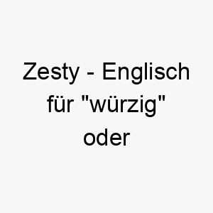 zesty englisch fuer wuerzig oder energiegeladen ein guter name fuer einen hund mit viel energie und charisma 28007