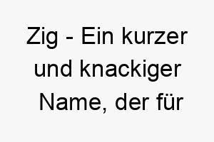 zig ein kurzer und knackiger name der fuer einen kleinen oder schnellen hund geeignet ist 28034