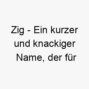 zig ein kurzer und knackiger name der fuer einen kleinen oder schnellen hund geeignet ist 28034