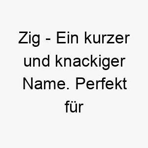 zig ein kurzer und knackiger name perfekt fuer einen kleinen oder schnellen hund 28064