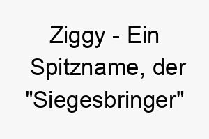 ziggy ein spitzname der siegesbringer bedeutet ein passender name fuer einen hund der immer siegreich in spielen und wettbewerben ist 27991