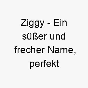 ziggy ein suesser und frecher name perfekt fuer einen spielerischen hund 28071