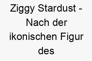 ziggy stardust nach der ikonischen figur des musikers david bowie benannt ein rockiger name fuer einen hund mit einer auffaelligen persoenlichkeit 28025