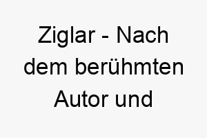 ziglar nach dem beruehmten autor und motivationsredner zig ziglar benannt ein inspirierender name fuer einen hund der sie immer zum laecheln bringt 28093