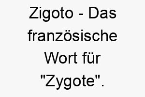 zigoto das franzoesische wort fuer zygote ein wissenschaftlicher und einzigartiger name fuer einen hund 28112